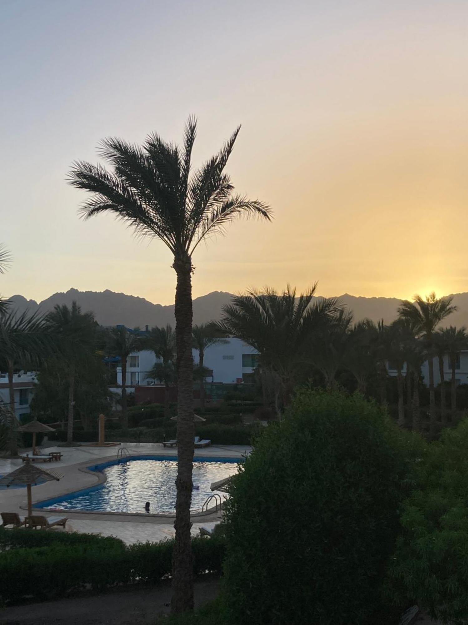 Unique Sunset Studio Appartement Sharm-el-Sheikh Buitenkant foto